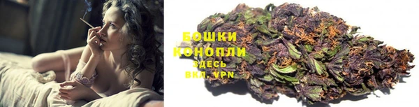 ПСИЛОЦИБИНОВЫЕ ГРИБЫ Аркадак