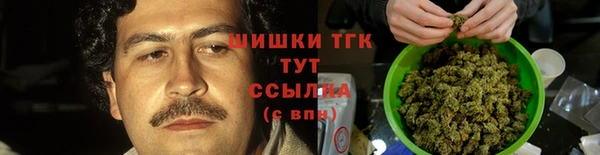 СК Арсеньев
