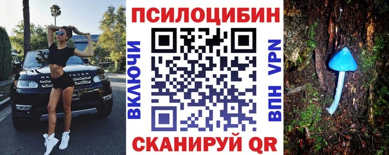 Галлюциногенные грибы Psilocybine cubensis  кракен ТОР  Краснотурьинск 