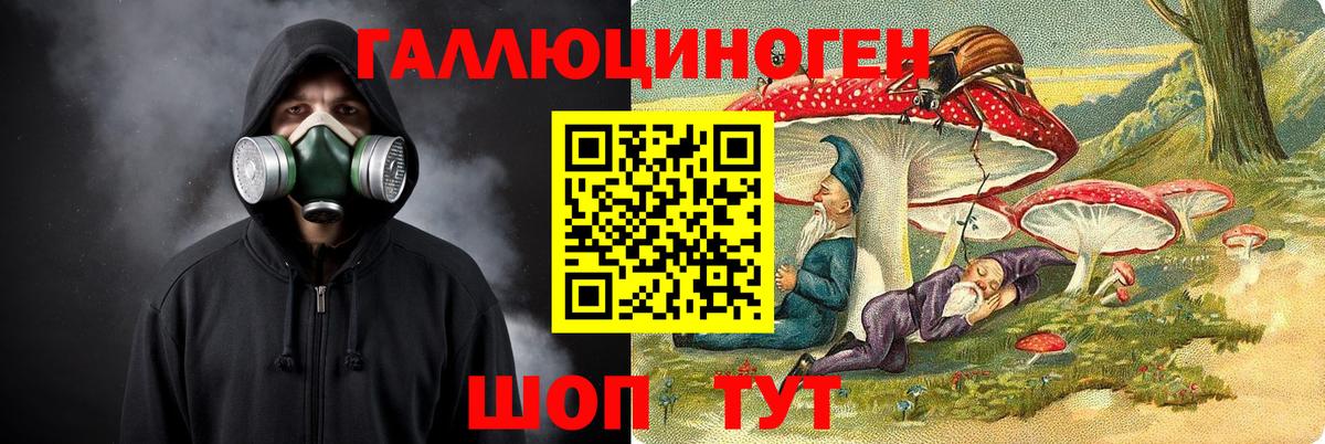 Галлюциногенные грибы Psilocybe Краснотурьинск